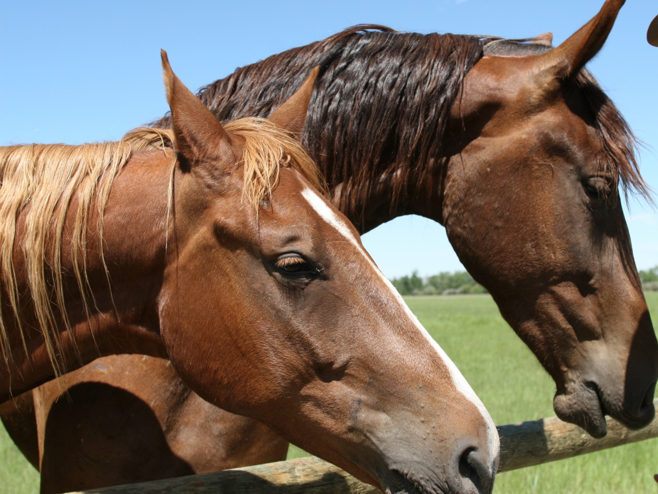 Home Remington Ranch