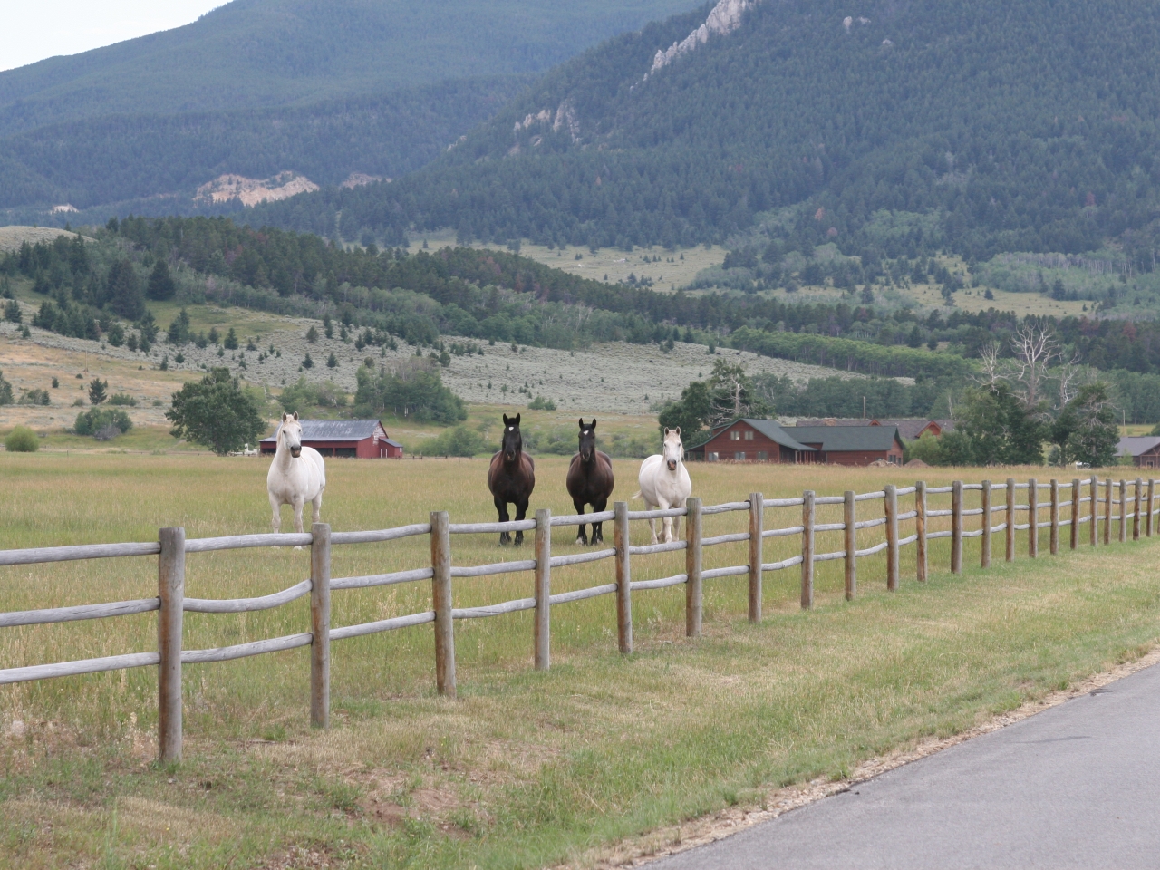 Home Remington Ranch