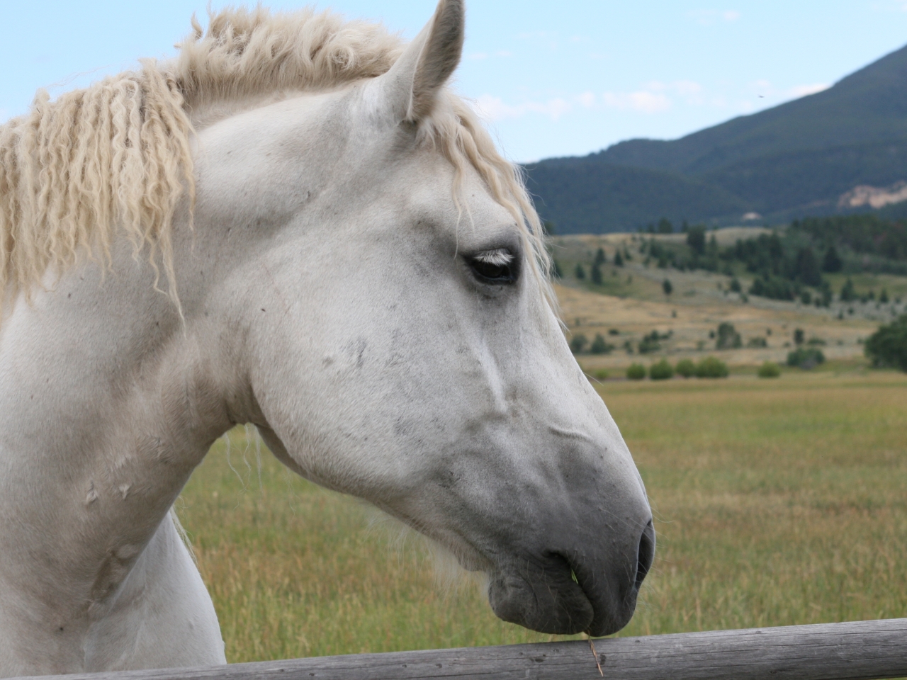 Home Remington Ranch