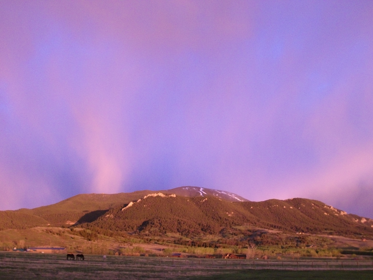 Home Remington Ranch