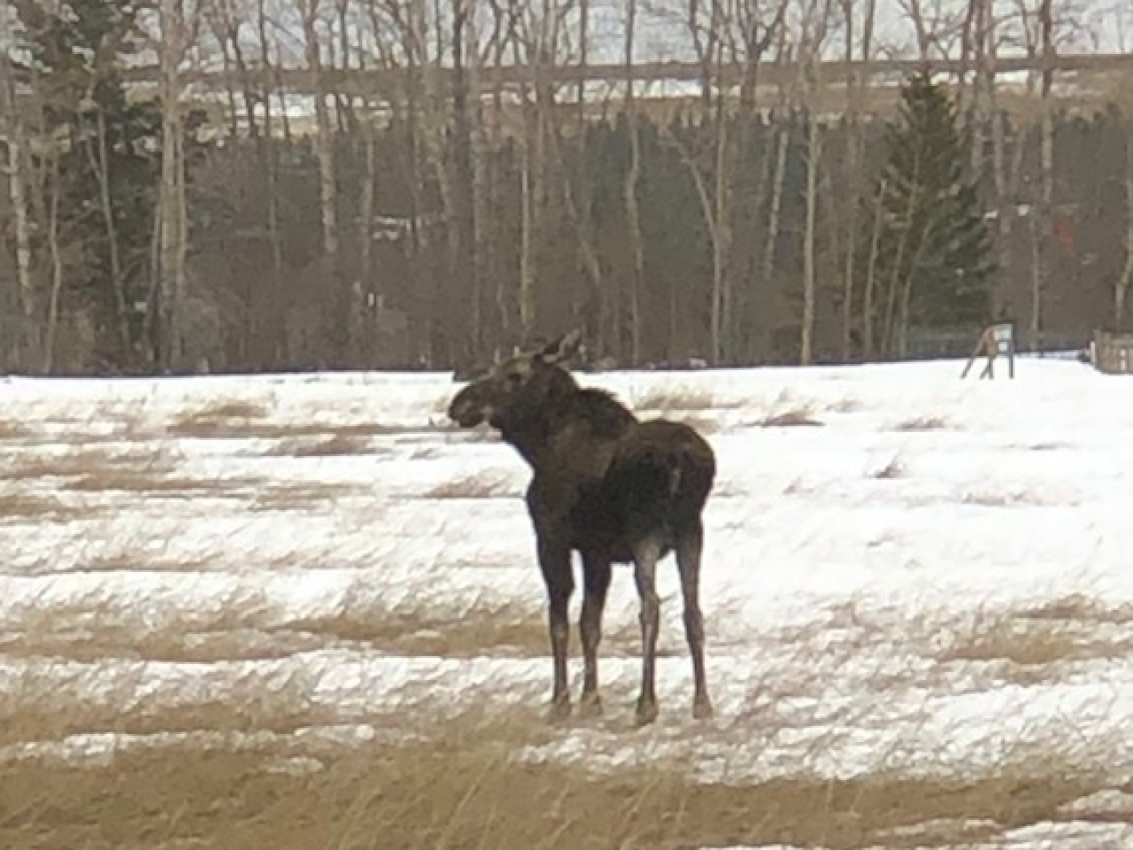 Home Remington Ranch