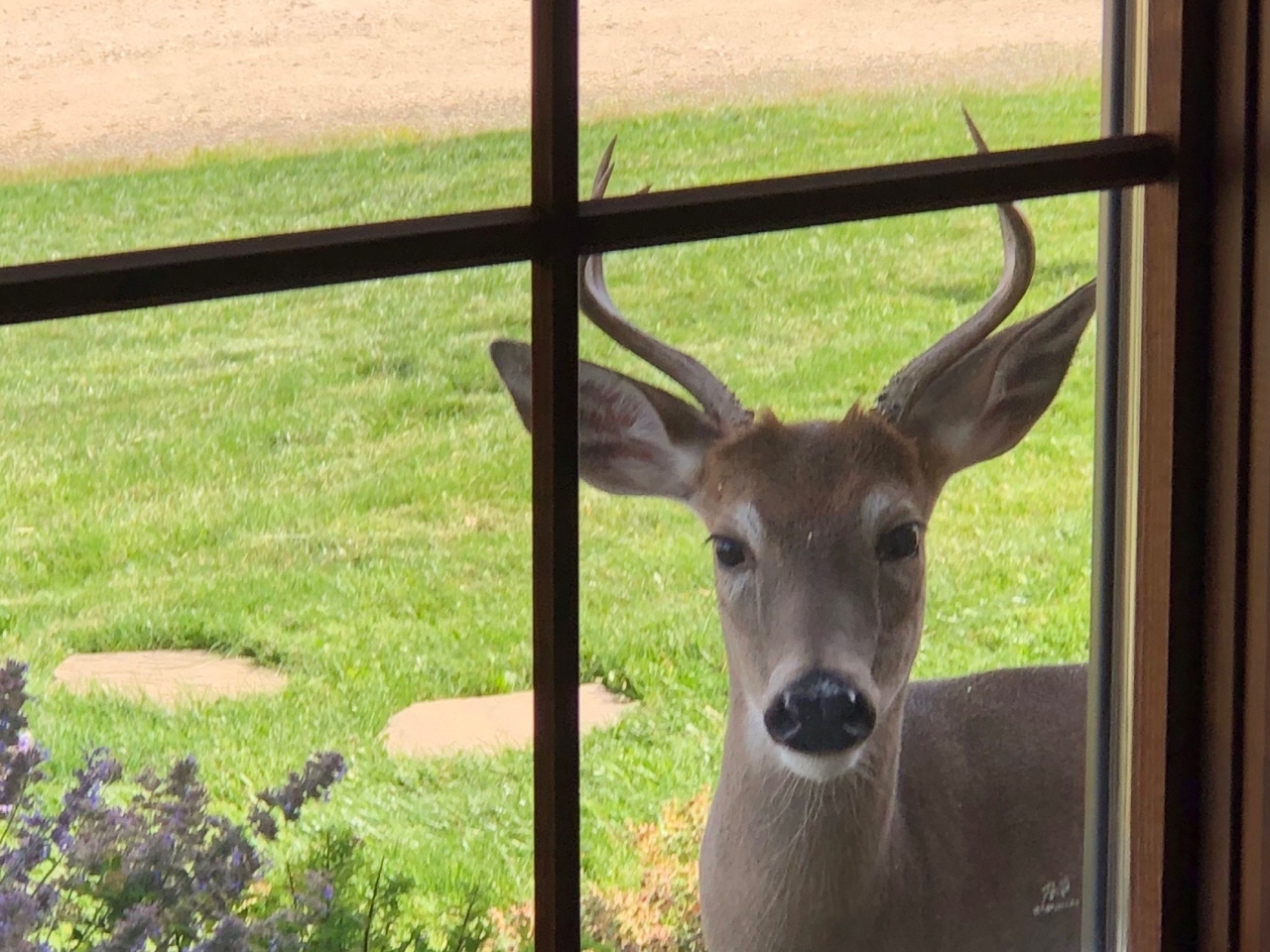 Home Remington Ranch