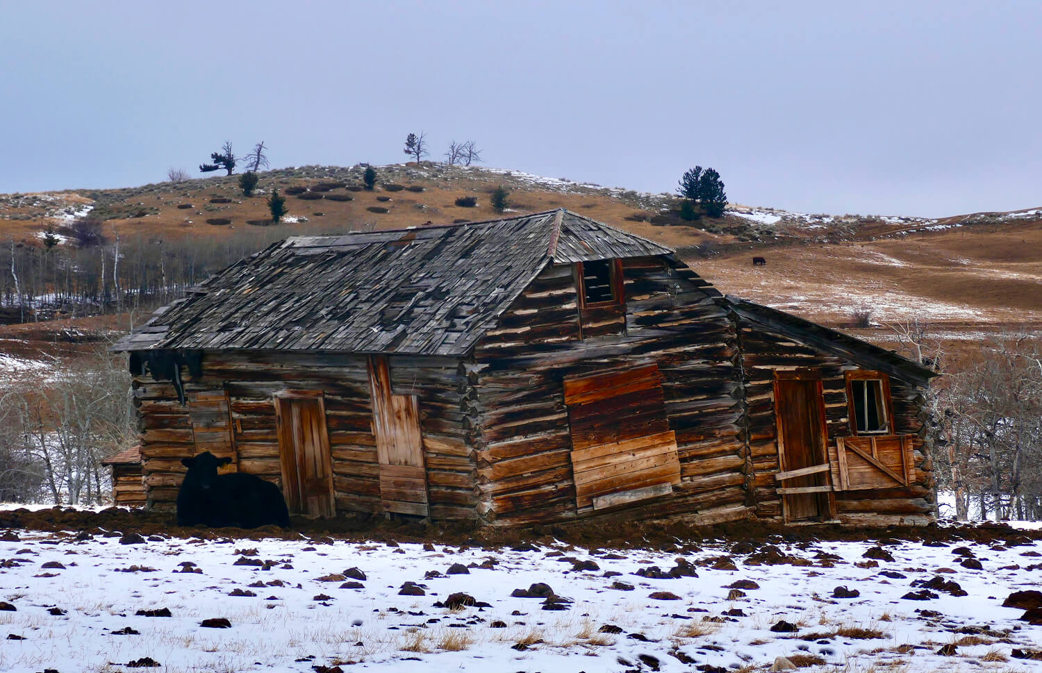 Old wooden cabin in snowy landscape.