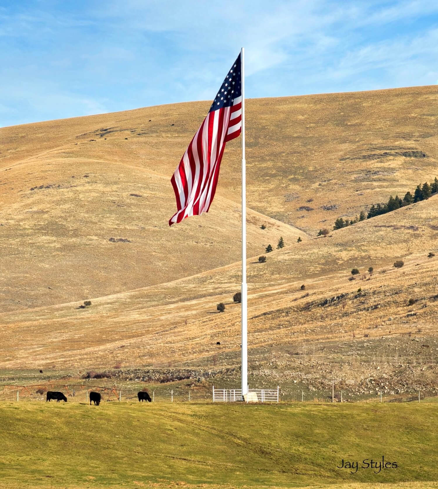 American flag on tall pole in field.