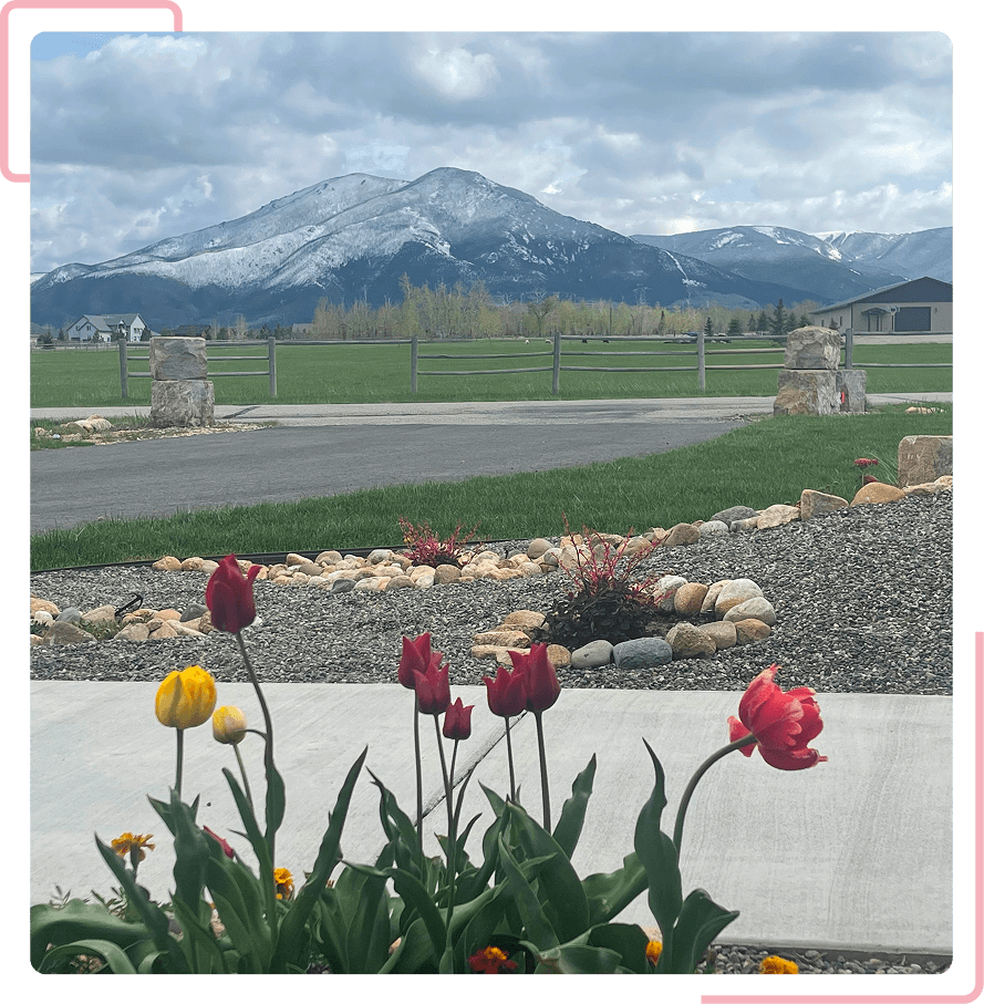 Tulips with mountain backdrop under cloudy sky.